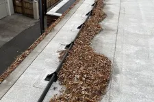 Thumbnail for a sidewalk with leaves on it