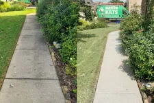 Thumbnail for a sidewalk with plants and a bus