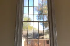 Thumbnail for a window with a view of trees