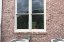 Thumbnail for a cat sitting in a window