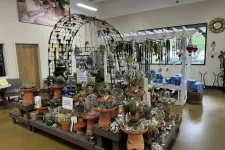 Thumbnail for Indoor display of terrariums, air plants, and garden decor arranged on wooden platforms with an arch trellis above.