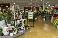 Thumbnail for Interior of a garden center with various potted plants, flowers, and promotional signage under bright lighting.