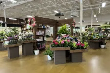 Thumbnail for Bright indoor garden center with tables displaying colorful flowers, plants, and garden supplies in a spacious room.