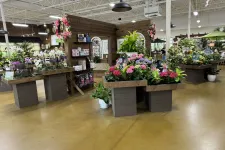 Thumbnail for Indoor garden center with wooden planters displaying colorful flowers and green plants under bright lighting.