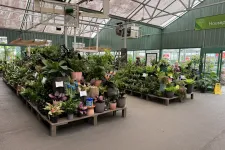 Thumbnail for Indoor garden center with diverse potted houseplants arranged on raised platforms in a greenhouse setting.