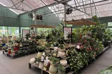 Thumbnail for Indoor garden center with various houseplants and pots under translucent roofing for natural light.