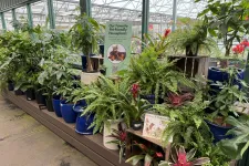 Thumbnail for Pet-friendly houseplants displayed in blue pots inside a greenhouse with informational signs for pet owners.