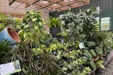 Thumbnail for Indoor greenhouse display with various potted green houseplants under wooden beams and glass roof.
