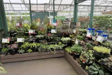 Thumbnail for Indoor garden center display with a variety of potted plants labeled as seasonal favorites under natural greenhouse light.