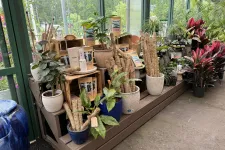 Thumbnail for Indoor garden shop display with potted plants, moss poles, gardening products, and large windows letting in natural light