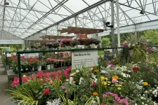 Thumbnail for Colorful flowering plants and hanging baskets displayed inside a large greenhouse nursery