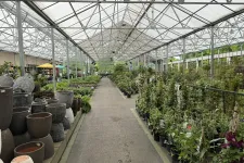 Thumbnail for Indoor greenhouse aisle filled with plants and large ceramic planters under a glass roof