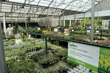 Thumbnail for Greenhouse nursery with tables of various annual plants and gardening supplies under a glass roof.