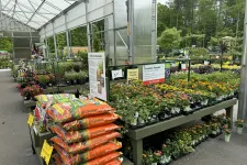 Thumbnail for Outdoor garden center greenhouse with rows of colorful flowering plants and bags of all-purpose potting soil.
