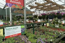 Thumbnail for Sun Annuals section in a greenhouse with vibrant flowers and hanging baskets for garden containers and borders.