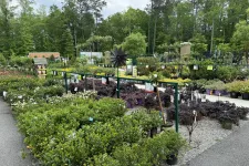 Thumbnail for Outdoor garden center with rows of green and flowering plants in pots and a wooded background under overcast sky.