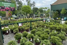 Thumbnail for Outdoor nursery section with rows of potted evergreen shrubs under a green sign on a cloudy day.