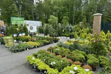 Thumbnail for Outdoor nursery section with various potted conifer plants and trees displayed along paved pathways.