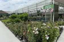 Thumbnail for Outdoor garden center displaying potted deciduous shrubs and flowering plants under a white canopy.