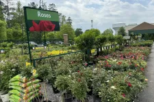 Thumbnail for Outdoor garden center with rows of rose plants in pots under a large green sign labeled Roses on a cloudy day.