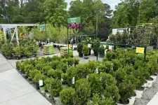 Thumbnail for Outdoor garden center with rows of evergreen shrubs and potted plants under blue sky on a sunny day