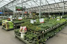 Thumbnail for Greenhouse section with tables full of potted vegetable and herb plants, gardening supplies, and signage.