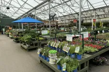 Thumbnail for Indoor garden center with various potted plants and flowers under a glass roof and blue umbrellas.