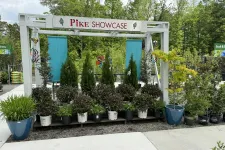 Thumbnail for Pike Showcase display of various potted evergreen and leafy plants outdoors under a white wooden frame.