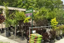 Thumbnail for Outdoor garden center displaying various potted flowering trees and bags of soil under a clear sky.
