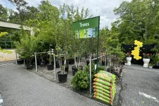 Thumbnail for Outdoor nursery area displaying various potted trees with a green sign labeled Trees and bags of soil nearby