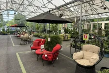 Thumbnail for Indoor patio furniture display with red cushioned chairs, black umbrella, and hanging wicker chairs in a greenhouse.