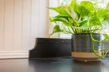 Thumbnail for Green leafy plant in a striped ceramic pot placed on a black countertop near a white window frame and wall.