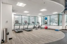 Thumbnail for Modern gym area with treadmills, stationary bikes, exercise balls, and bright natural lighting from large windows
