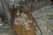 Thumbnail for Duct Repair in Decatur 30034 by The Air Company of GA