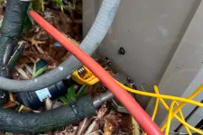 Thumbnail for Close-up of insulated pipes and colorful wires near an outdoor HVAC unit surrounded