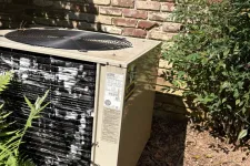 Thumbnail for Outdoor air conditioning unit beside brick wall with surrounding plants and greenery in sunlight.