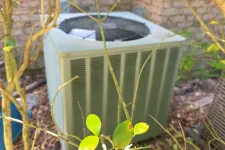 Thumbnail for Outdoor air conditioning unit behind thin branches with green leaves near a brick wall on a sunny day