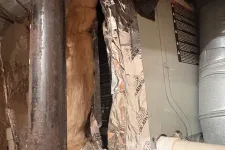 Thumbnail for Insulated HVAC ductwork with metal pipes and foil-faced insulation in a basement or utility space.