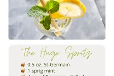 Thumbnail for Close-up of Hugo Spritz cocktail garnished with fresh mint and lemon slice in a glass with a straw.