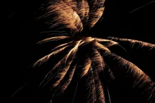 Thumbnail for Golden fireworks burst in intricate patterns against a pitch-black night sky, creating a dazzling display.