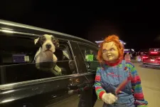 Thumbnail for Child in a Chucky costume holding a knife prop stands beside a black car with a dog looking out the window at night.