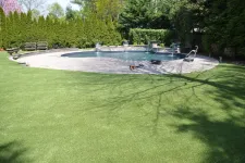 Thumbnail for a pool with a green lawn