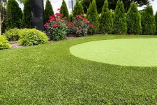 Thumbnail for a large green lawn with trees and bushes around it