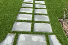 Thumbnail for a white and green lawn