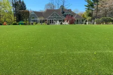 Thumbnail for a large green lawn in front of a house