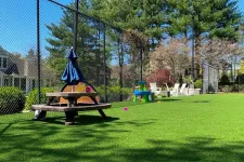 Thumbnail for a swing set in a yard