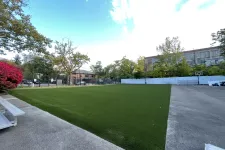 Thumbnail for a green lawn with a fence and trees and buildings in the background