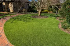 Thumbnail for a large green lawn