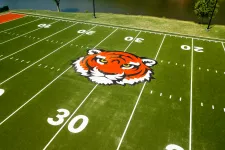 Thumbnail for a football field with a logo