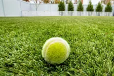 Thumbnail for a tennis ball on the grass